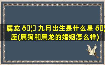 属龙 🦁 九月出生是什么星 🦁 座(属狗和属龙的婚姻怎么样)